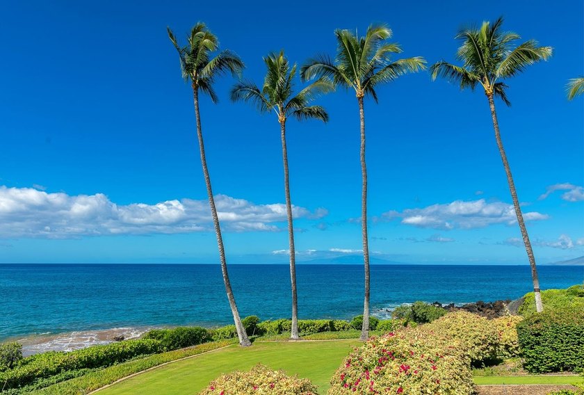 FABULOUS world class Wailea Point *double* unit with a MOST - photo 3
