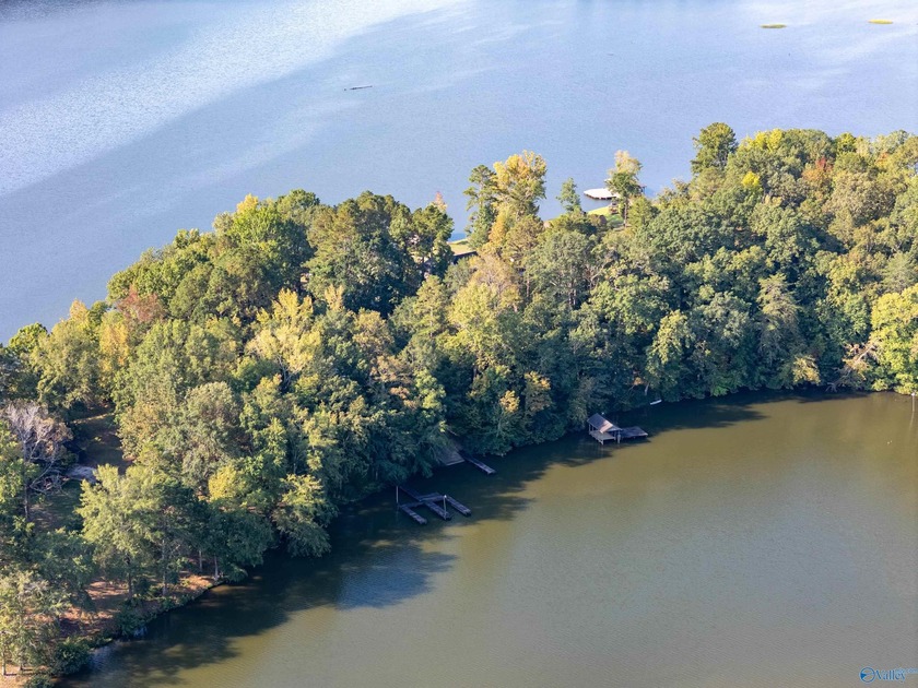 Lakefront living in a gated community on Weiss Lake! Just under - photo 2