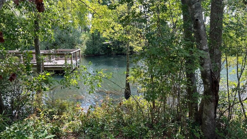 READY-TO-BUILD SINGLE FAMILY HOME LOT and PRICED TO SELL! - photo 2