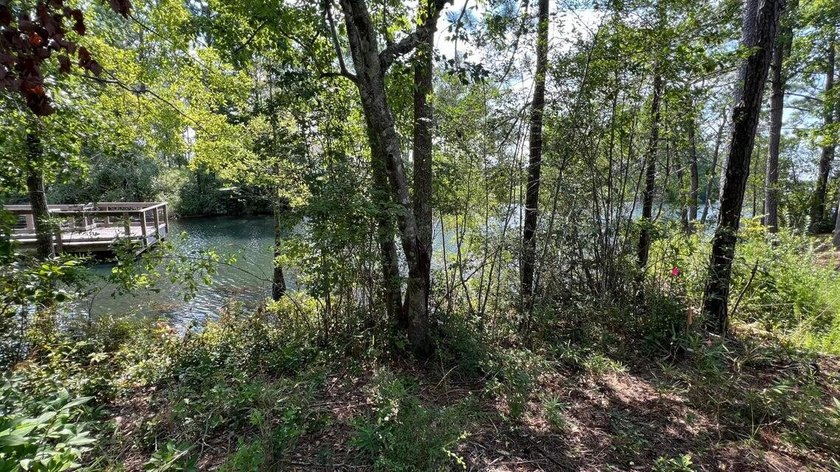 READY-TO-BUILD SINGLE FAMILY HOME LOT and PRICED TO SELL! - photo 3