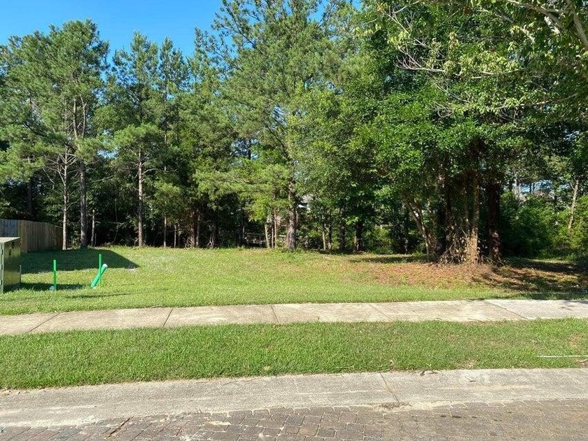 READY-TO-BUILD SINGLE FAMILY HOME LOT and PRICED TO SELL! - photo 4