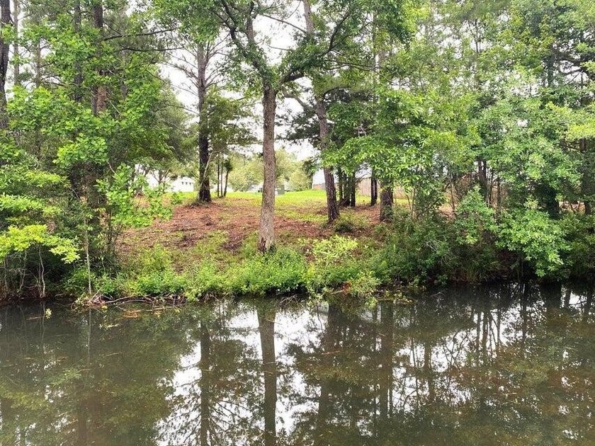 READY-TO-BUILD SINGLE FAMILY HOME LOT and PRICED TO SELL! - photo 6