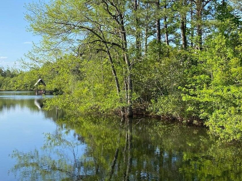 READY-TO-BUILD SINGLE FAMILY HOME LOT and PRICED TO SELL! - photo 7