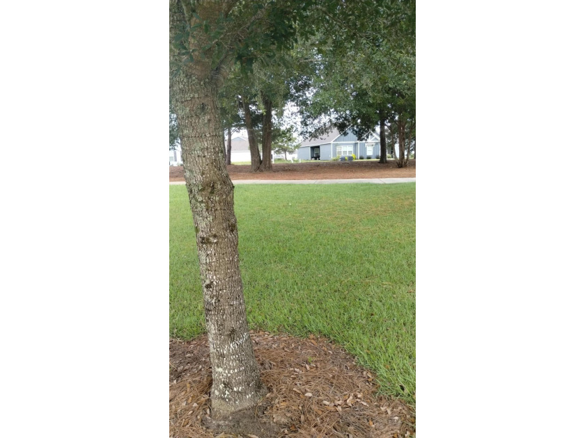 Fast growing Owl's Head East Subdivision. This cleared - photo 8