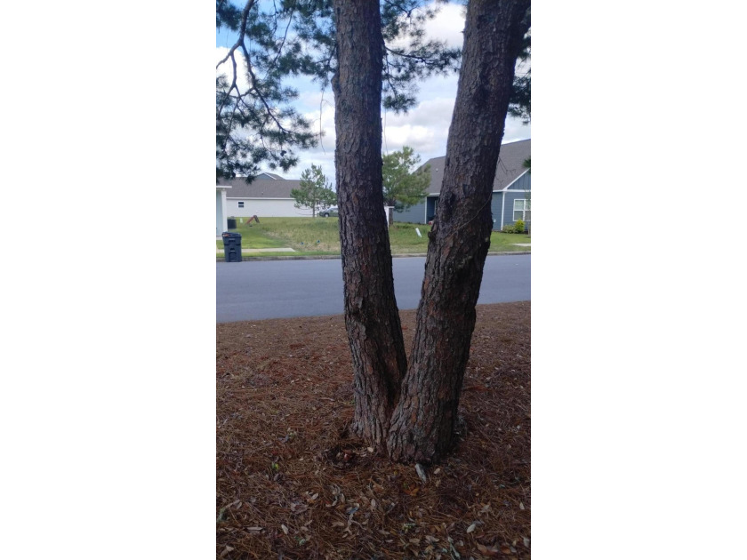 Fast growing Owl's Head East Subdivision. This cleared - photo 9