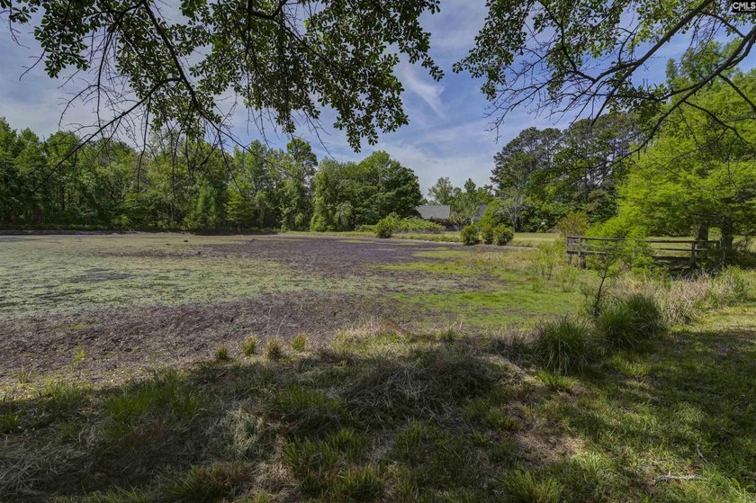 +/-21.83 acres with approximately 575 feet of road frontage on - photo 26