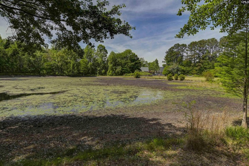 +/-21.83 acres with approximately 575 feet of road frontage on - photo 28