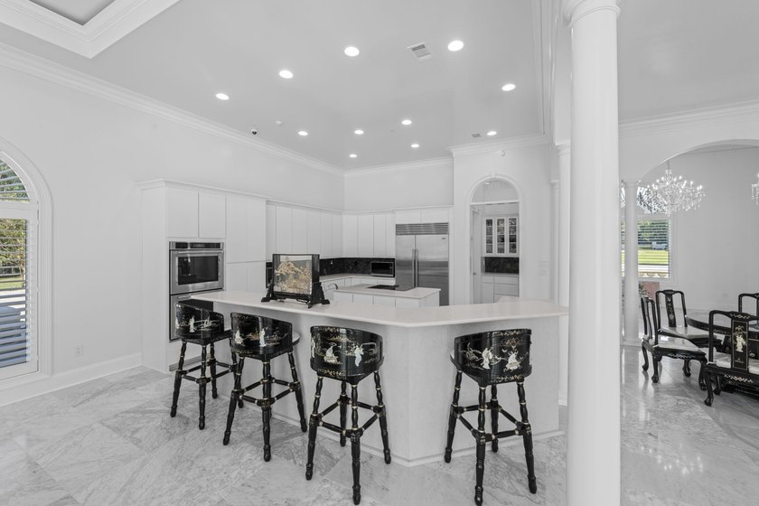 Stunning 1-level 5,000 SF Neoclassical Mediterranean Villa on 10 - photo 10