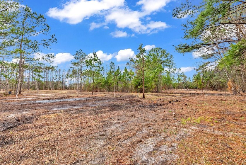 GREAT PROPERTY FOR A MINI FARM OR CAN BE DIVIDED UP IN TO 5 - 1 - photo 3