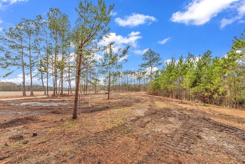 GREAT PROPERTY FOR A MINI FARM OR CAN BE DIVIDED UP IN TO 5 - 1 - photo 4