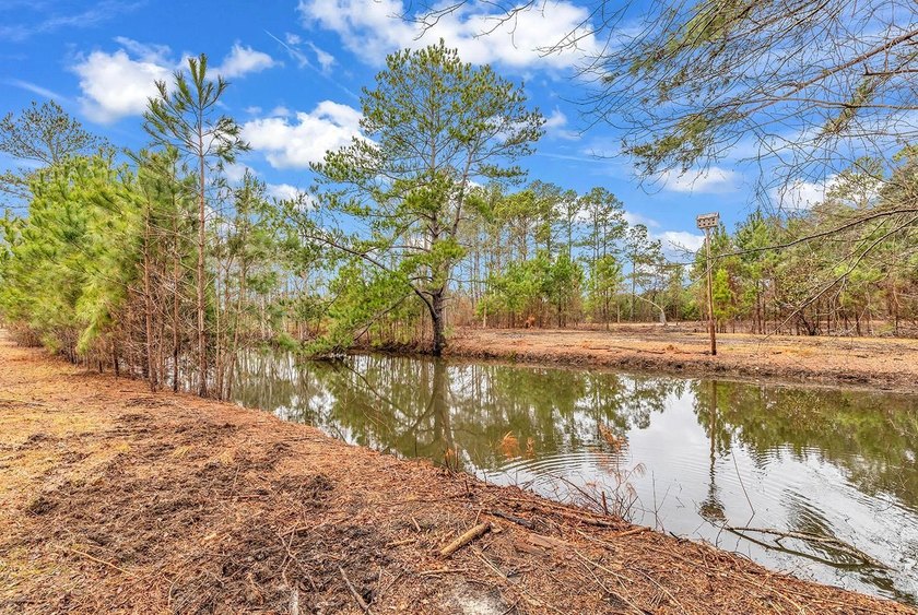 GREAT PROPERTY FOR A MINI FARM OR CAN BE DIVIDED UP IN TO 5 - 1 - photo 5