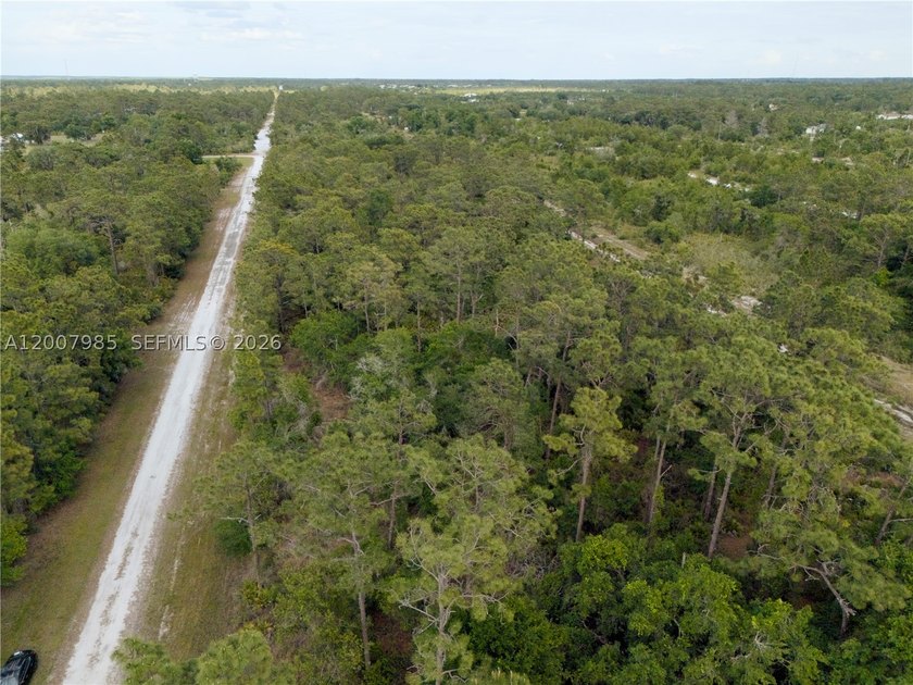Build your dream home on this spacious 0.50-acre vacant lot - photo 3