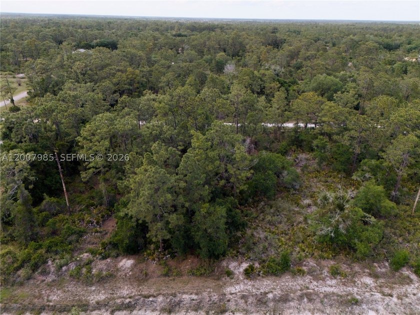 Build your dream home on this spacious 0.50-acre vacant lot - photo 9