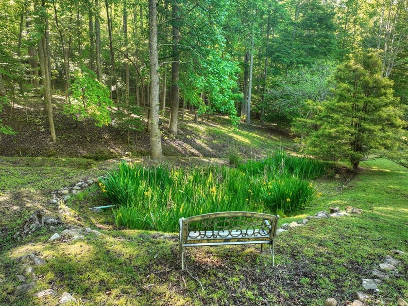 Tucked beneath a canopy of towering hardwoods and surrounded by - photo 24