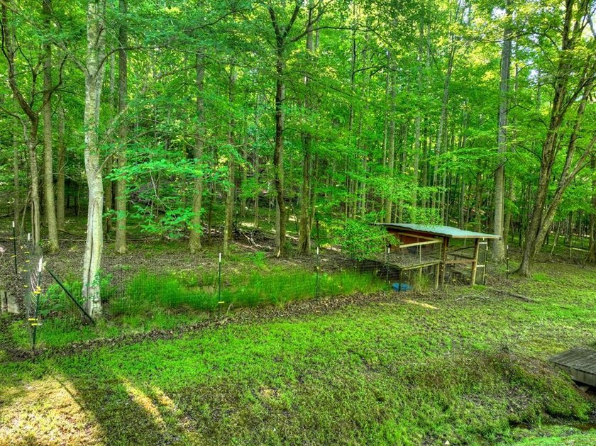Tucked beneath a canopy of towering hardwoods and surrounded by - photo 50