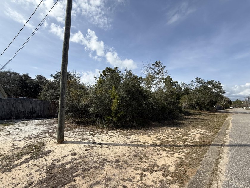 Exceptional opportunity to purchase 4 adjoining lots (offered - photo 3