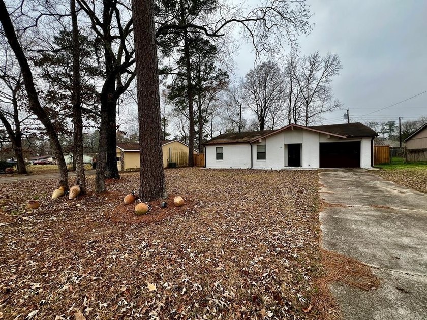 Charming 3BR/2B home with an open concept living area, cozy - photo 2