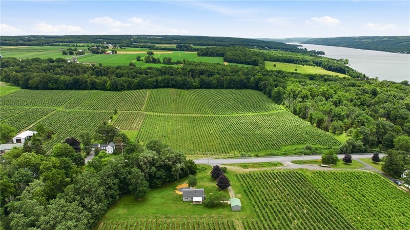 Welcome to the home you've been waiting for! Situated scenically - photo 38
