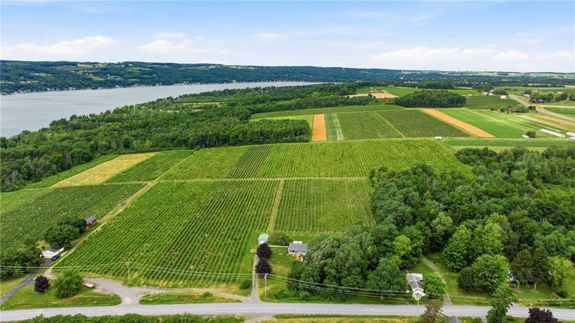Welcome to the home you've been waiting for! Situated scenically - photo 41