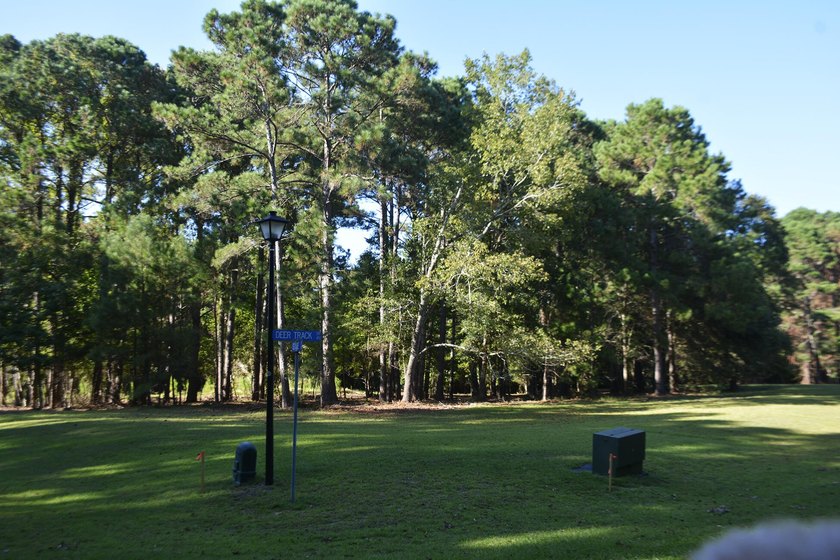 Outstanding Country lot lot with plenty of privacy and over 1 - photo 11