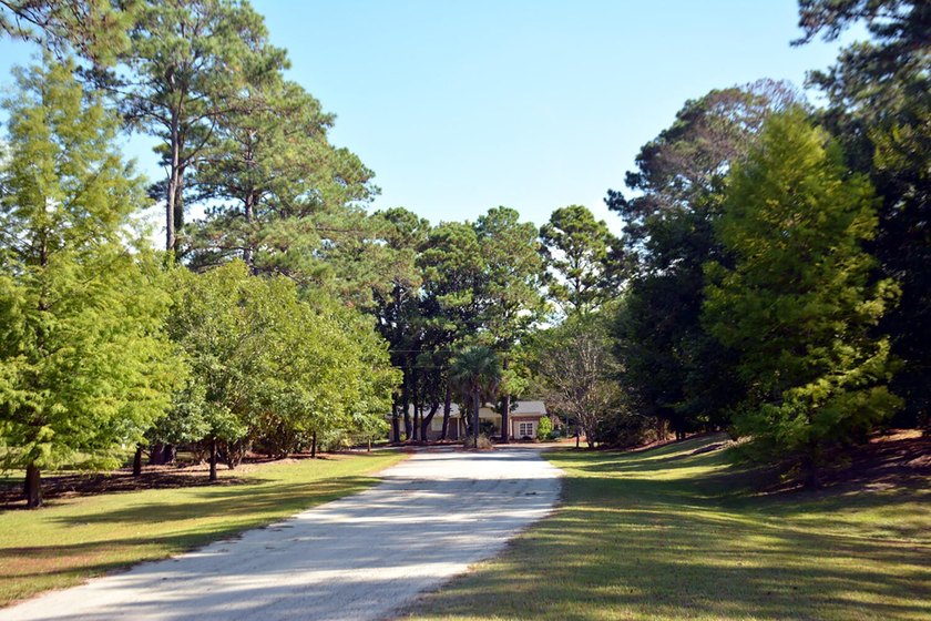 Outstanding Country lot lot with plenty of privacy and over 1 - photo 14