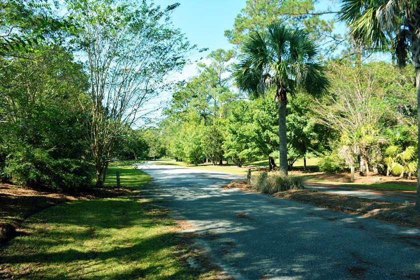 Outstanding Country lot lot with plenty of privacy and over 1 - photo 17