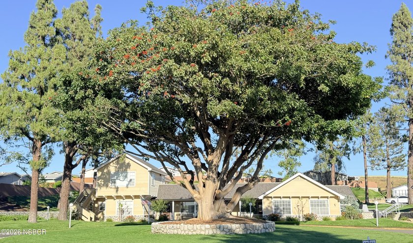 Enjoy living here at Quail Meadows East at 3420 Bent Tree Drive - photo 26