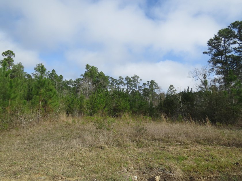 8 waterfront lots with a bulkhead and dock! 200 feet of - photo 2