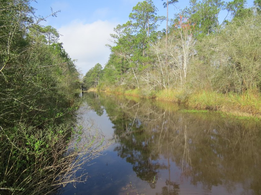 8 waterfront lots with a bulkhead and dock! 200 feet of - photo 3