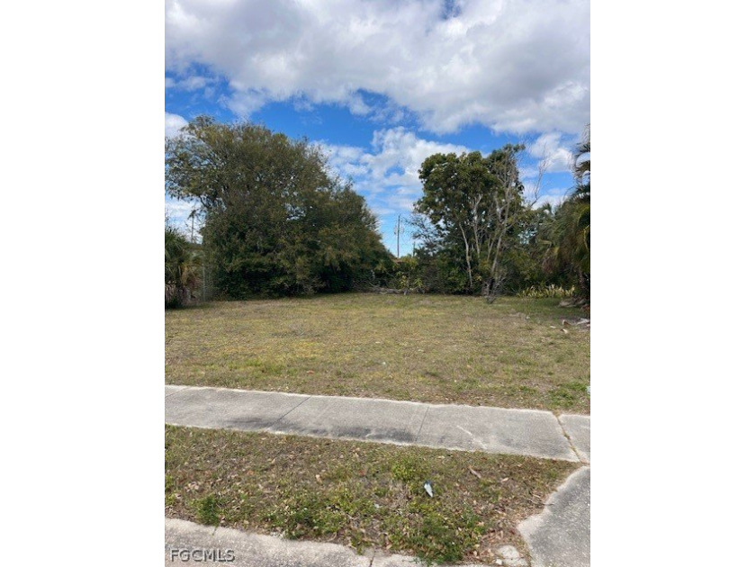 For sale: Vacant land lot close to downtown and near US-75 - photo 3