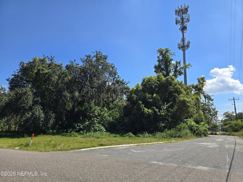 Prime commercial lot on busy 103rd Street! This .79-acre - photo 9
