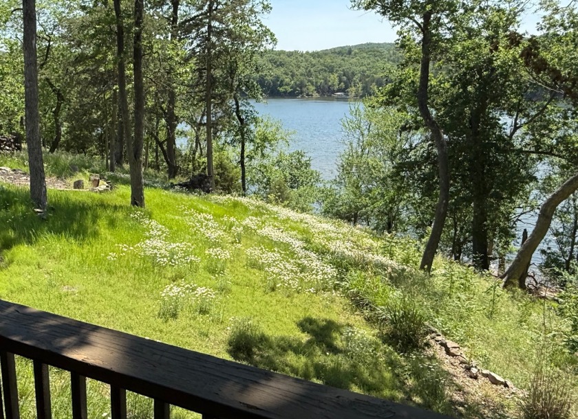 View off the lower back deck - photo 23
