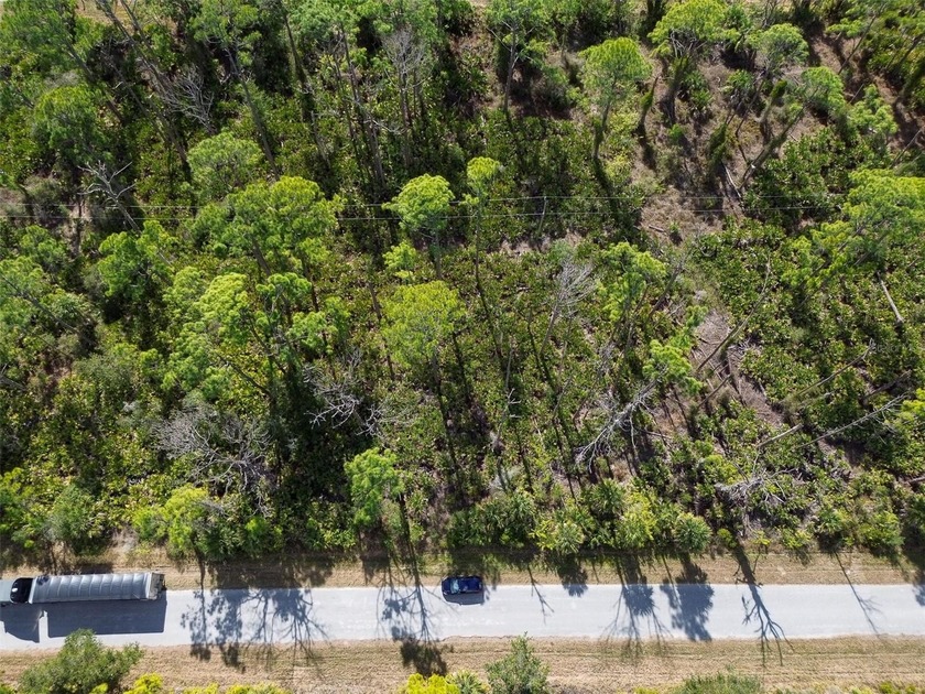 Build your Florida dream home on this prime residential lot - photo 19