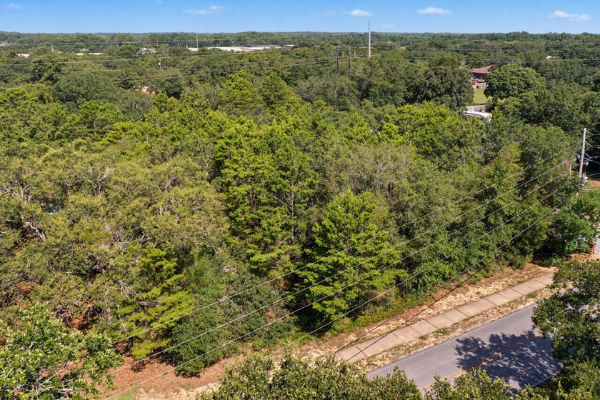 Build your dream home on this oversized vacant lot. Located just - photo 6