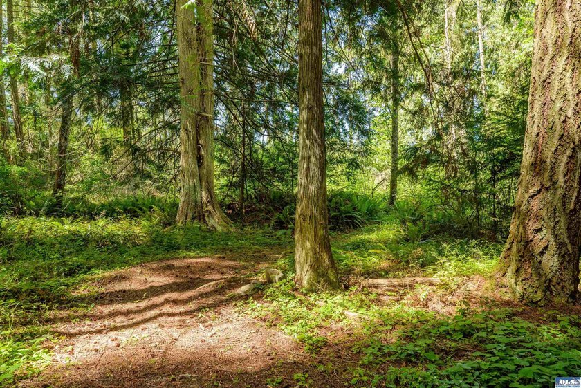Beautifully wooded 2 acre parcel with superb privacy just - photo 11
