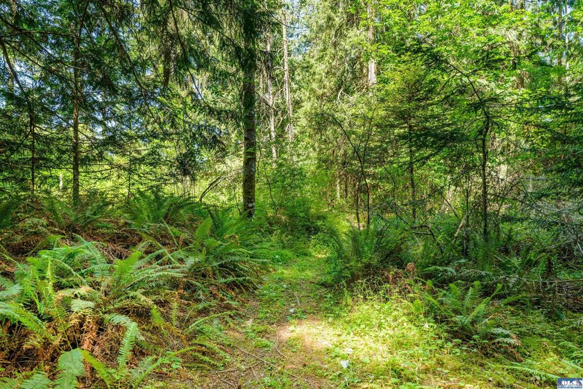 Beautifully wooded 2 acre parcel with superb privacy just - photo 12