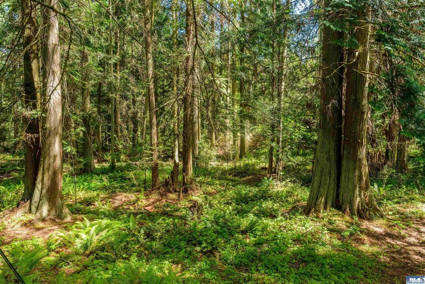 Beautifully wooded 2 acre parcel with superb privacy just - photo 13