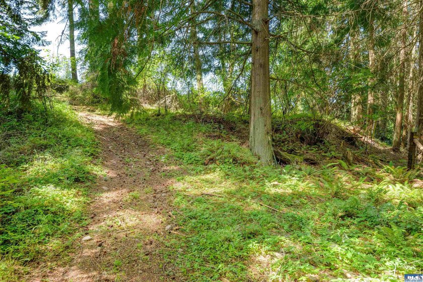 Beautifully wooded 2 acre parcel with superb privacy just - photo 14