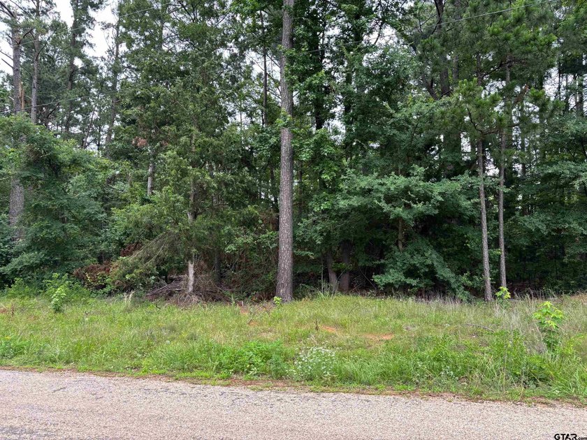 Come check out these 4 lots on CR 2121 for your place to build a - photo 2