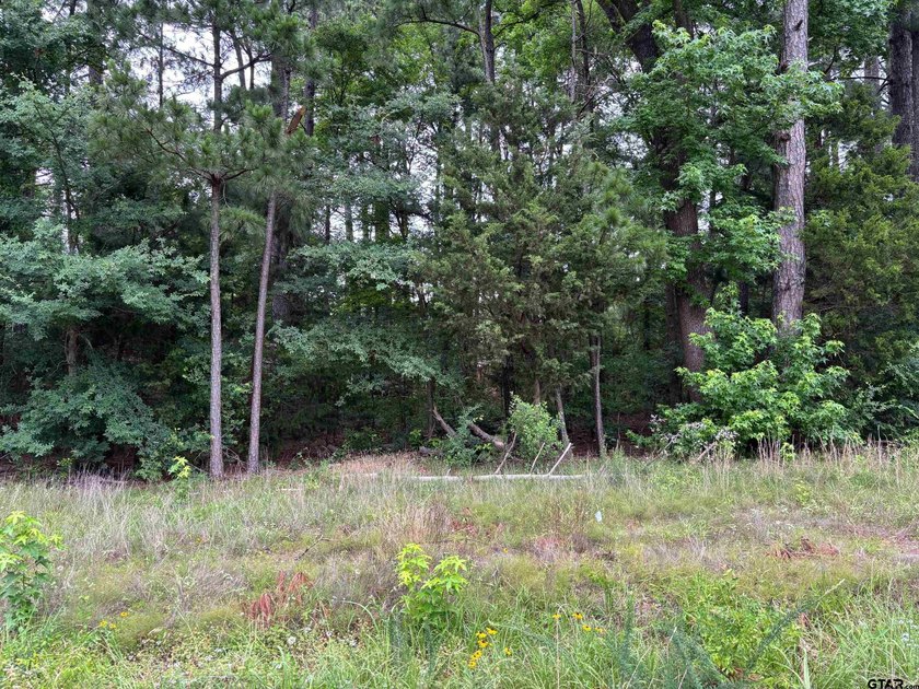 Come check out these 4 lots on CR 2121 for your place to build a - photo 3