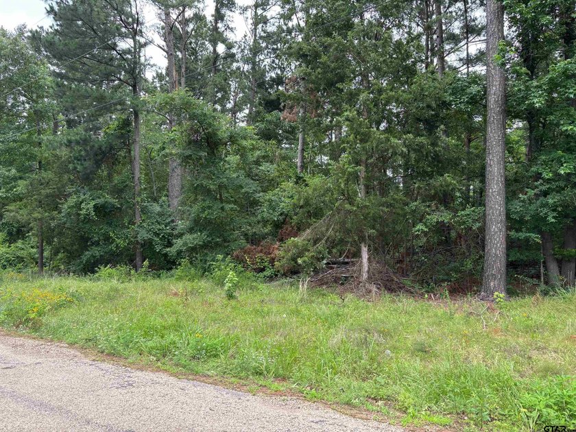 Come check out these 4 lots on CR 2121 for your place to build a - photo 4