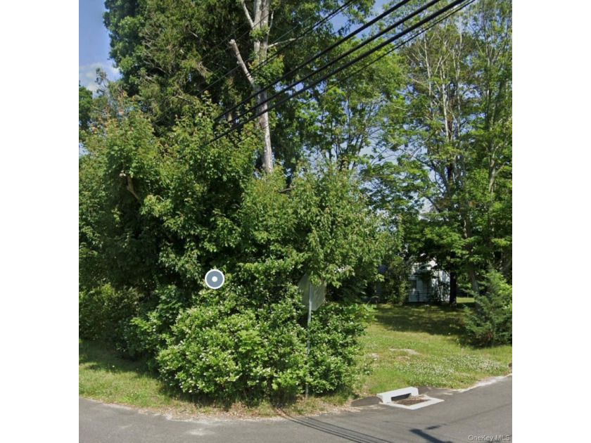 Land for sale ! 100 x120 corner lot. Perfect opportunity to - photo 2