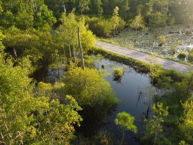 A unique residential homesite offering privacy, natural - photo 2