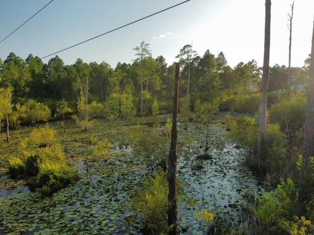 A unique residential homesite offering privacy, natural - photo 7