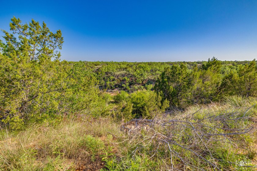 Looking for your own oasis in Robert Lee? Look no further! This - photo 27