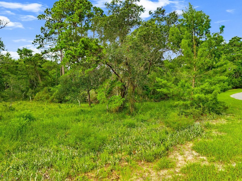 If you have been waiting for a great lot to come available in - photo 10