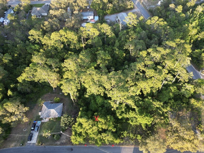 476 acre wooded interior lot zoned R1M . Not in flood Zone so - photo 16