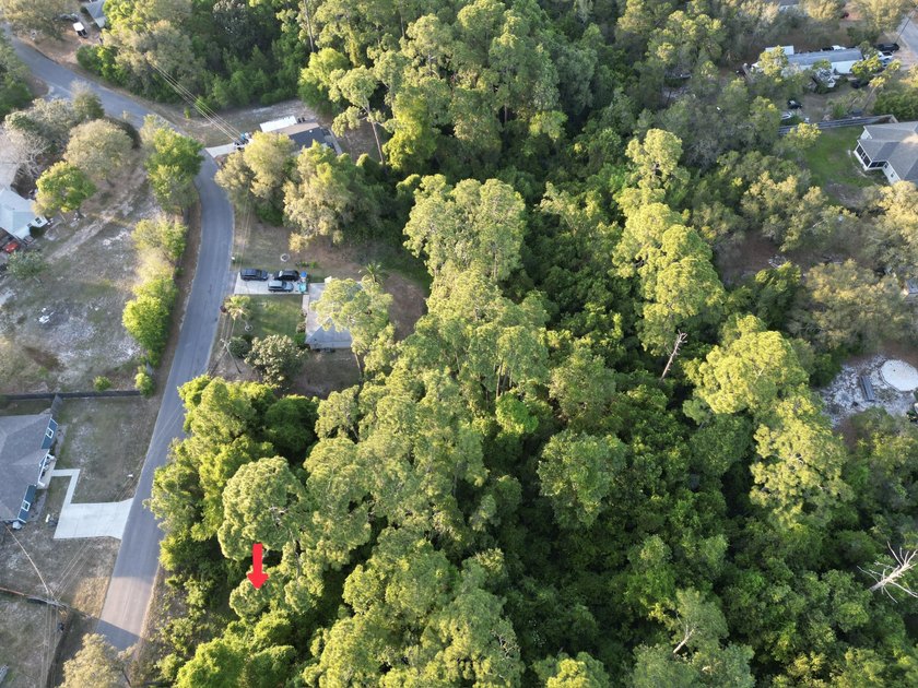 476 acre wooded interior lot zoned R1M . Not in flood Zone so - photo 17