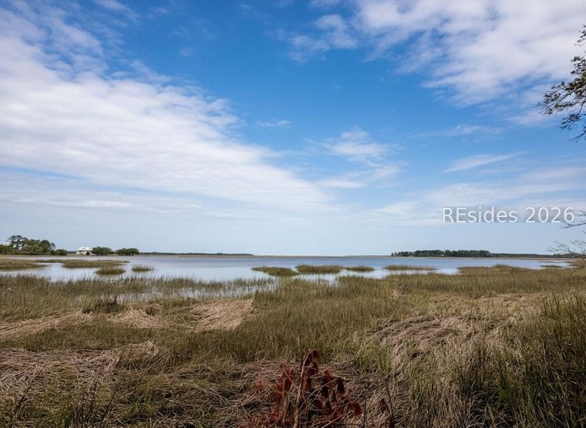 Escape to your own slice of the Lowcountry with this 1 acre - photo 2