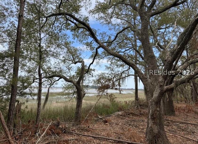 Escape to your own slice of the Lowcountry with this 1 acre - photo 5